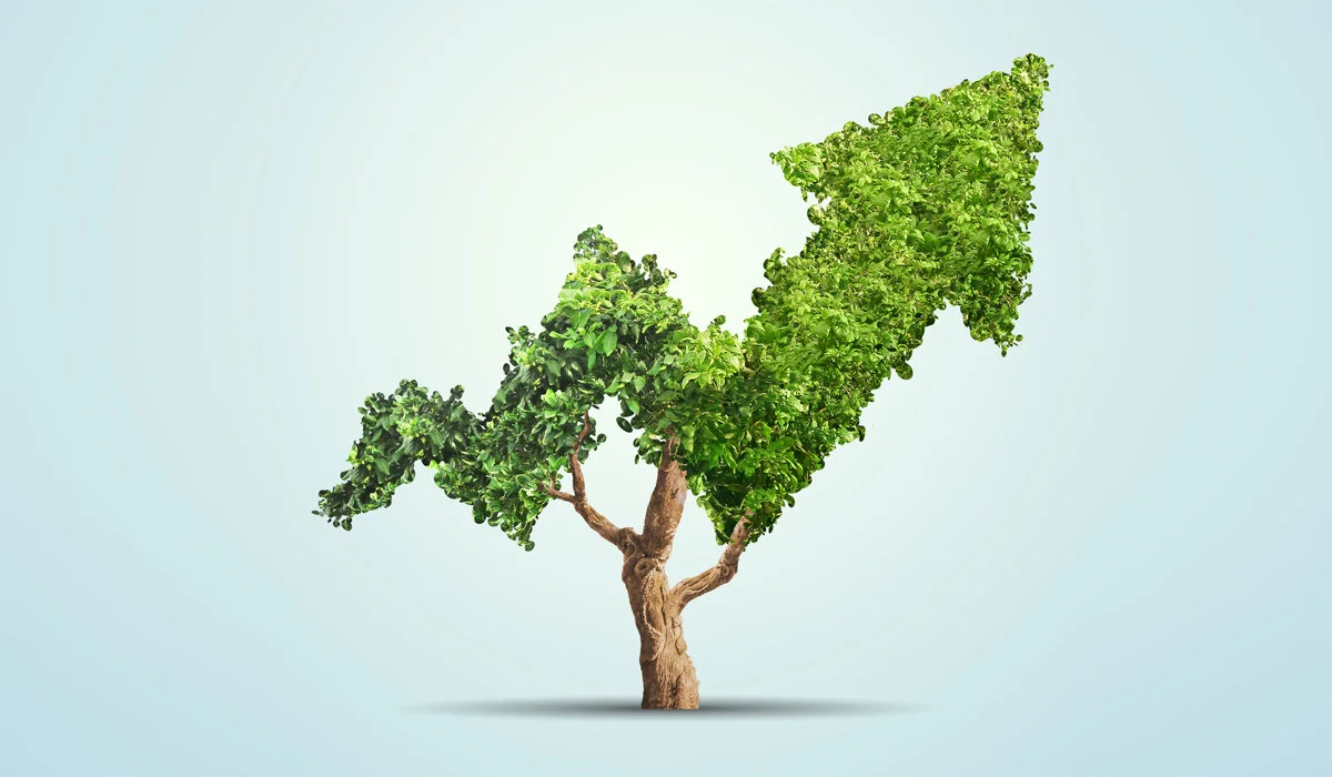 Sổ tay Startup: Các phương thức gọi vốn vòng hạt giống