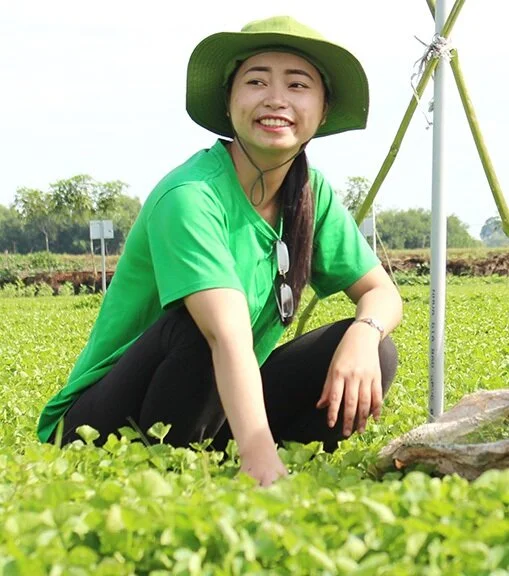 Mã số N3042: Mấy ai nghĩ cây rau bình dị 'ra' thế giới!