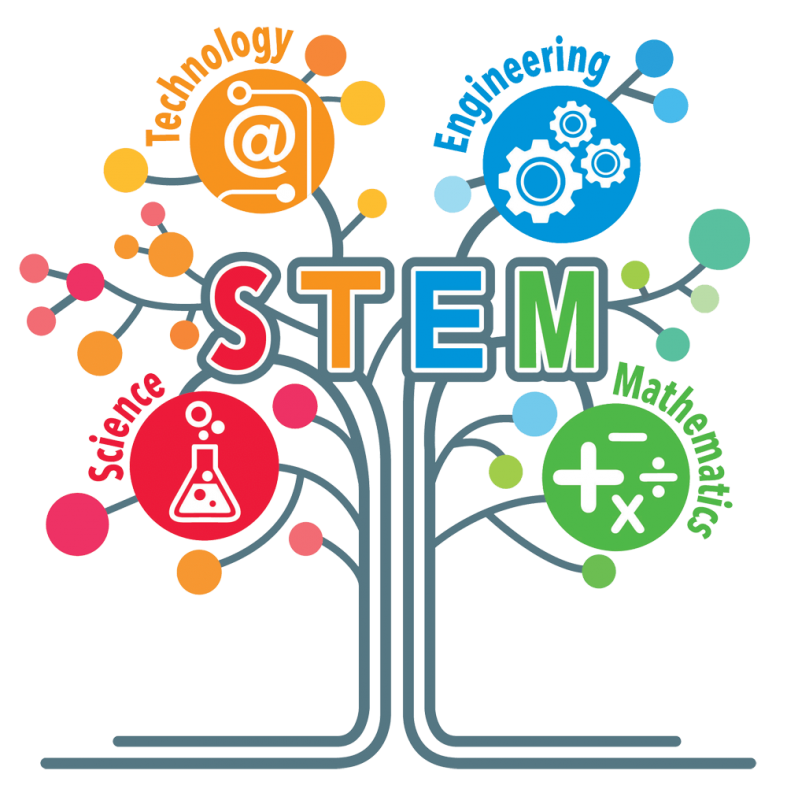 Mã số N2031: Ứng dụng Crocodile ICT và Crocodile Physics trong dạy và học theo định hướng STEM