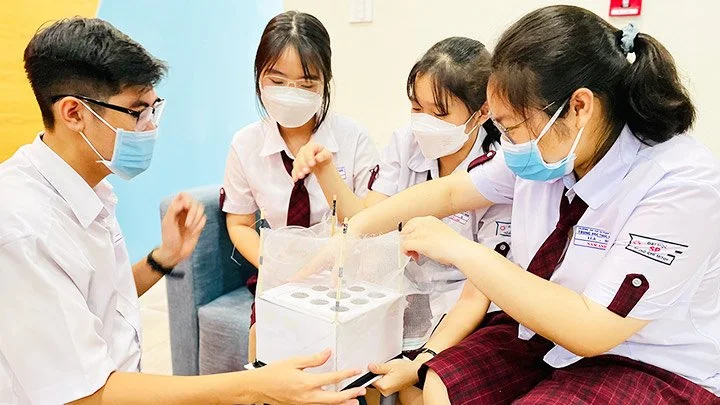 Mã số N3007: Những ý tưởng “xanh”