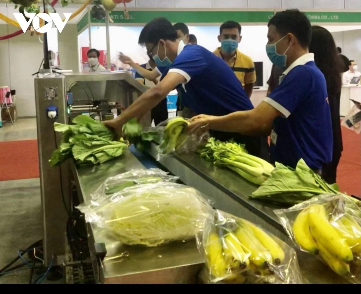 Mã số N3010: Chính sách hỗ trợ ngắn hạn và lâu dài sẽ giúp vực dậy doanh nghiệp sau đại dịch