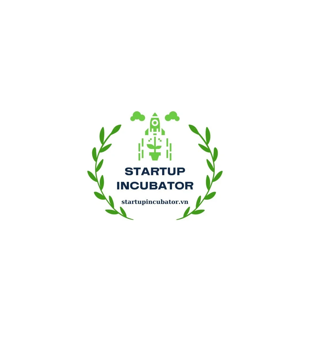 Mã số N4005: VIET STARTUP INCUBATOR – nâng bước Startups Việt