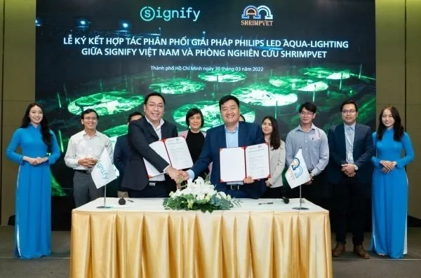 Mã số N3054: Giải pháp chiếu sáng mới giúp nâng cao hiệu quả nuôi tôm