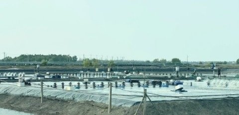 Mã số N3055: TP.HCM: Ứng dụng công nghệ cao và chuyển đổi số trong nuôi tôm