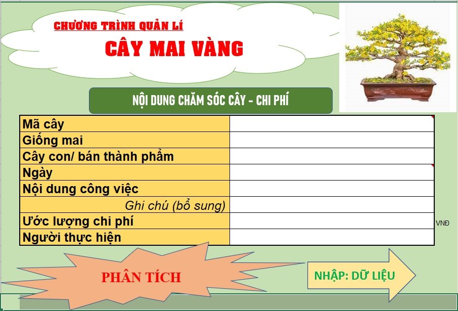 Mã số N2170: Chương trình quản lý cây mai dành cho hộ nông dân sản xuất cây mai cảnh