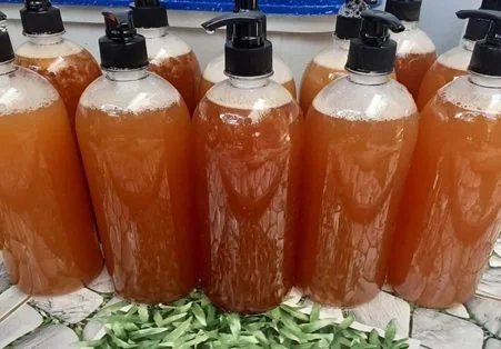 Mã số N2120: Pha chế nước tẩy rửa đa năng từ dứa (thơm)