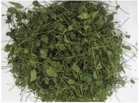 Mã số N2165: Phương pháp sơ chế và bảo quản dược liệu Giảo cổ lam 