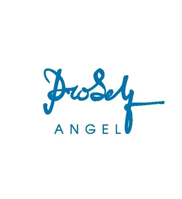 Mã số N4007: Proself angel – Khởi nghiệp trong ánh sáng