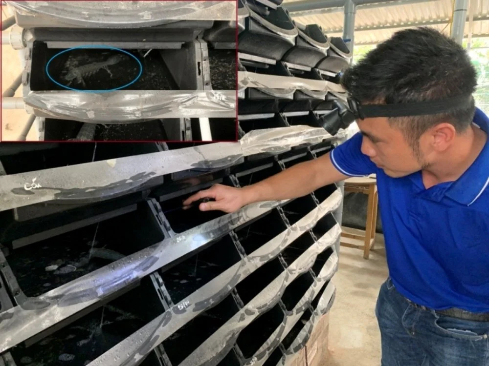 I-Star 2023: Giải pháp nuôi tôm tít trong hộp nhựa bằng công nghệ tuần hoàn RAS