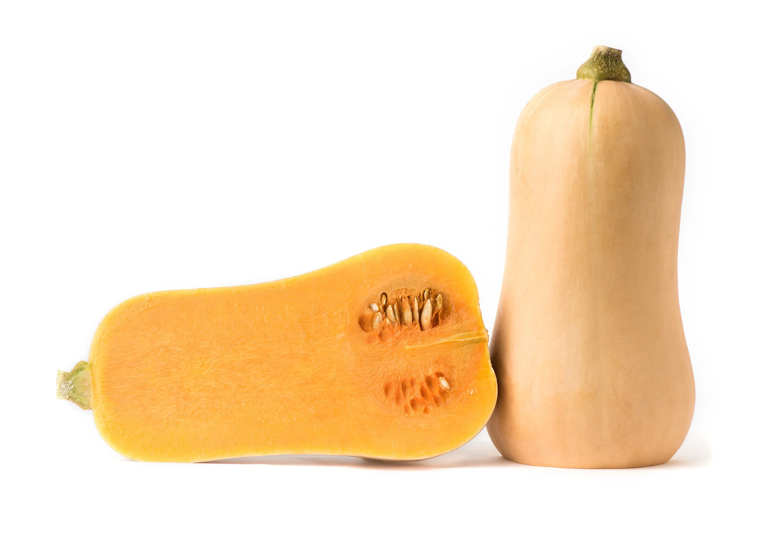 early_remix_butternut-107.jpg
