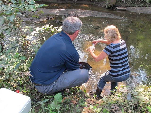 Everyone can help monitor our creek