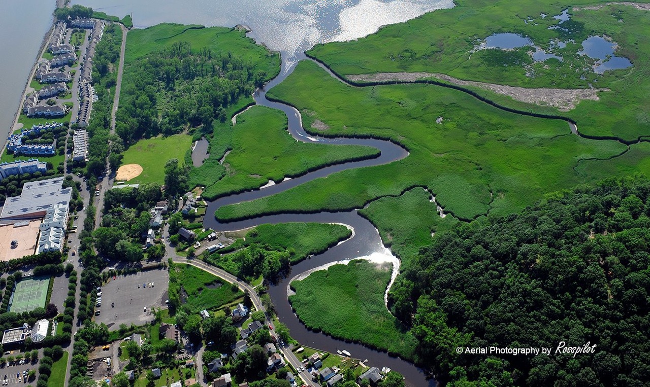 Piermont Marsh