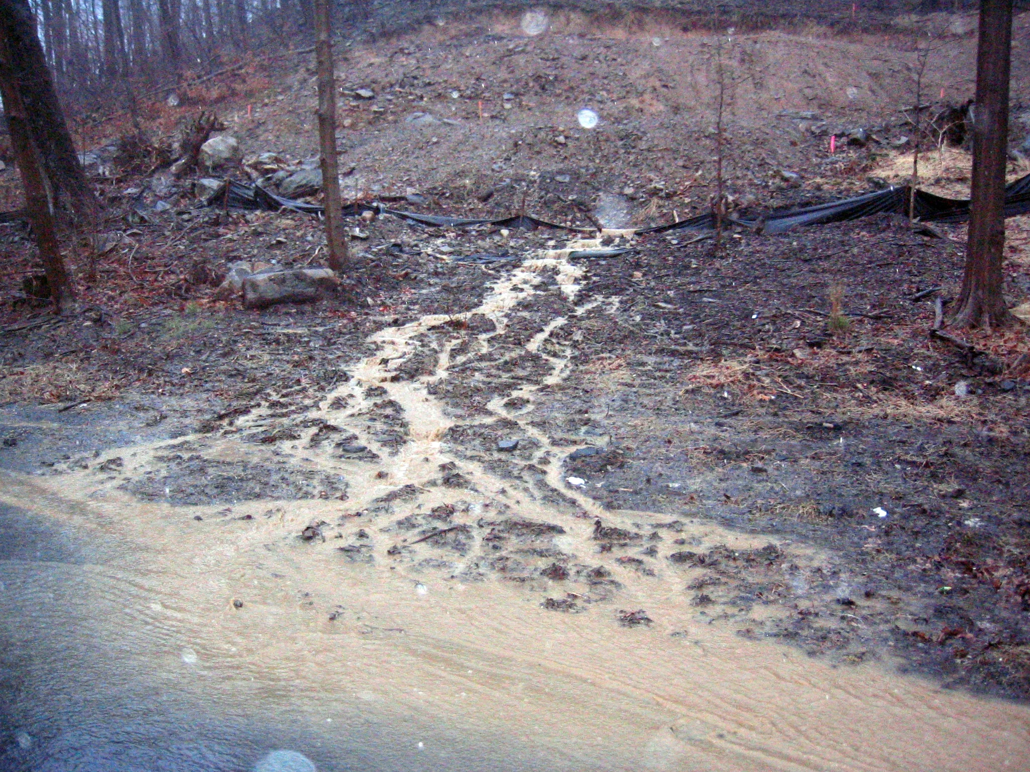 EROSION_SEDIMENT RUNOFF.JPG