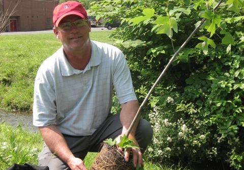 Trees for Tribs planting 