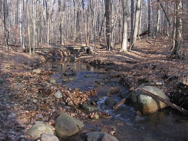 The Creek on Clausland Mtn