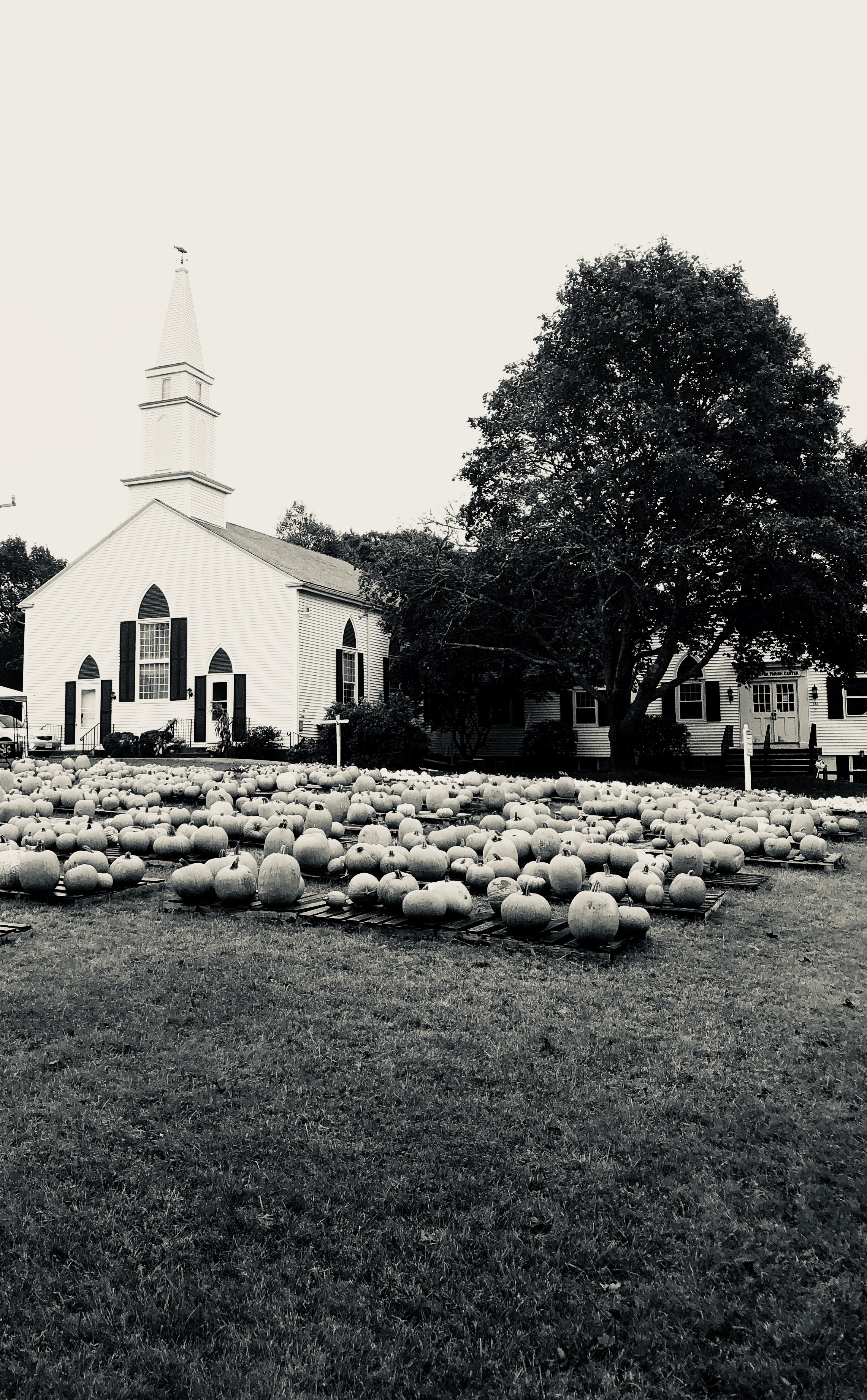 SOUTH YARMOUTH, MA OCTOBER 2017