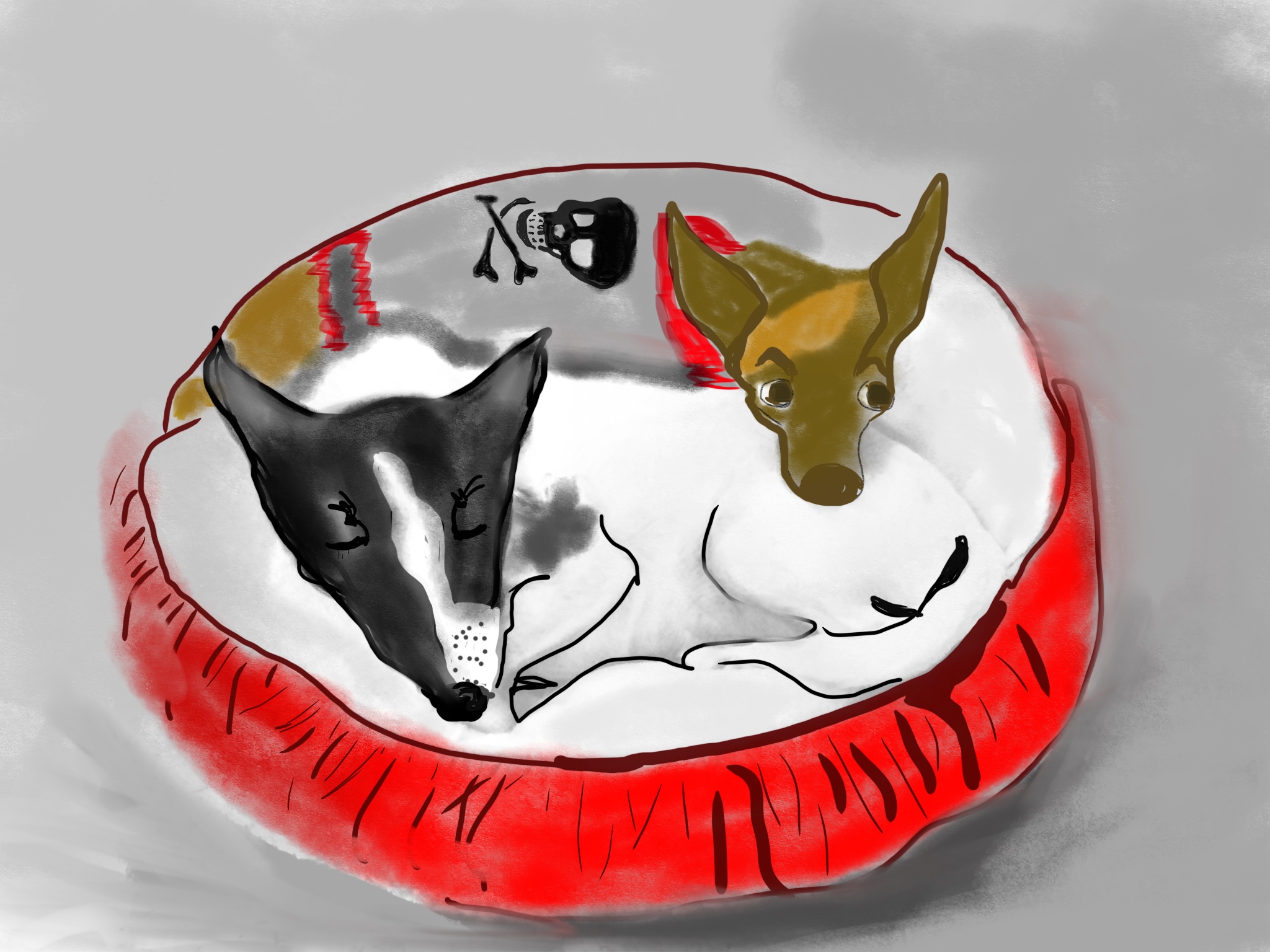 ALFIE AND SOOKIE IN PHILADEPHIA-2018-iPAD SKETCH