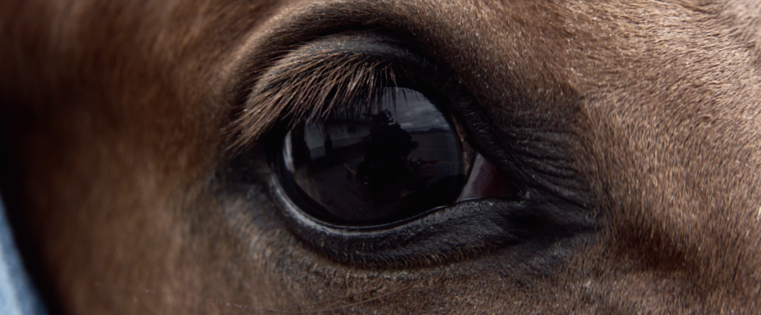 Capture d’écran 2016-12-08 à 10.41.11.png