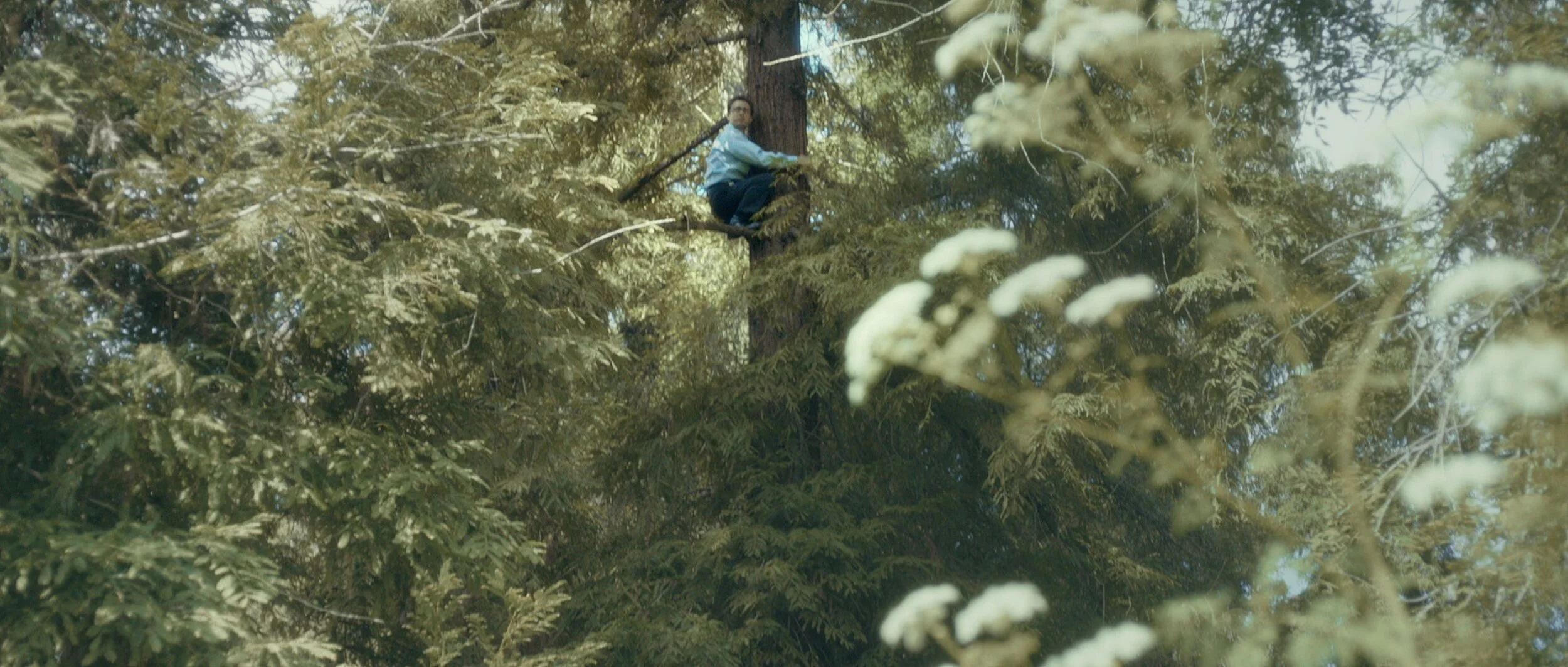 LENSCRAFTERS DIR MASTER