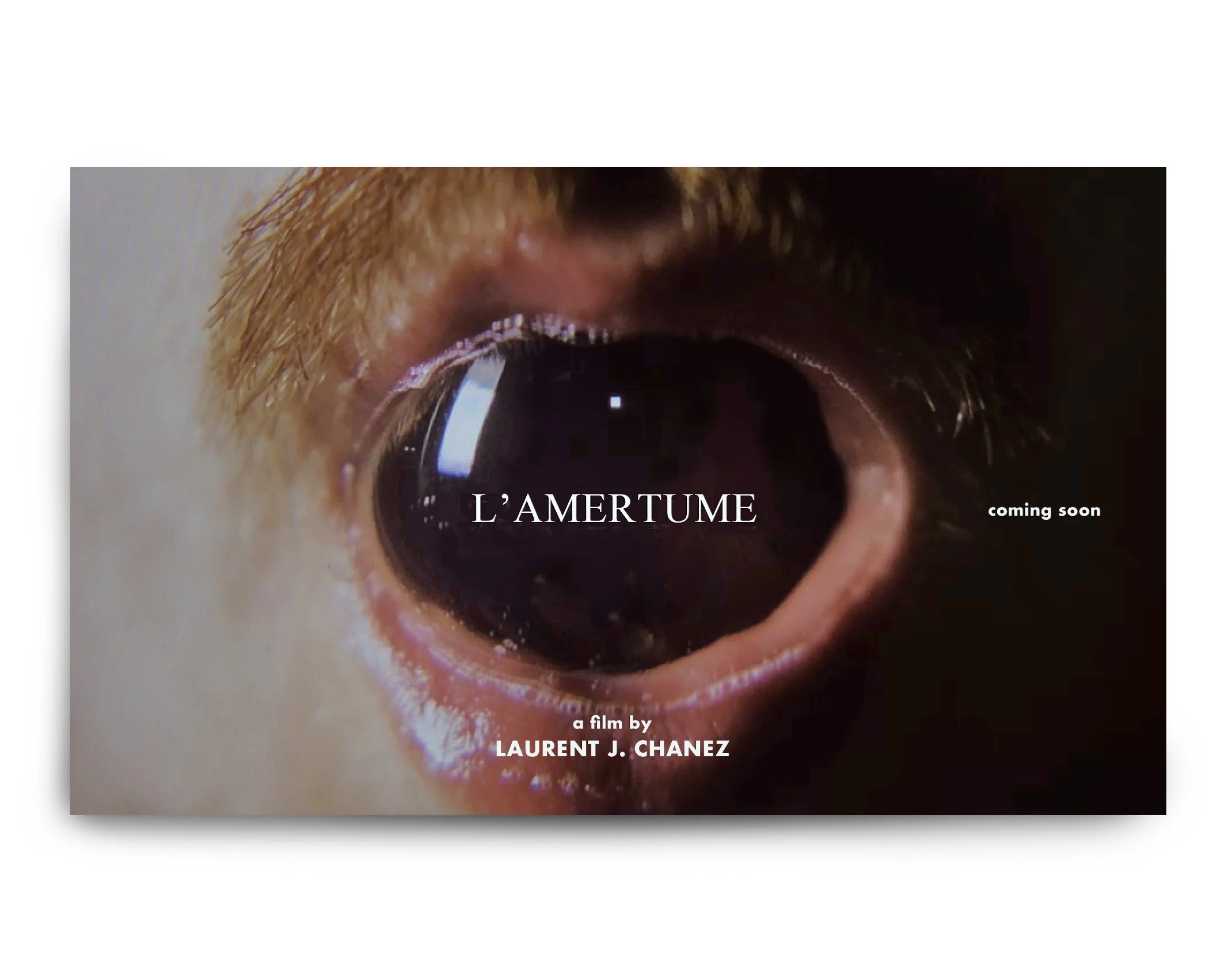 Intro Website LrntChnz.jpg