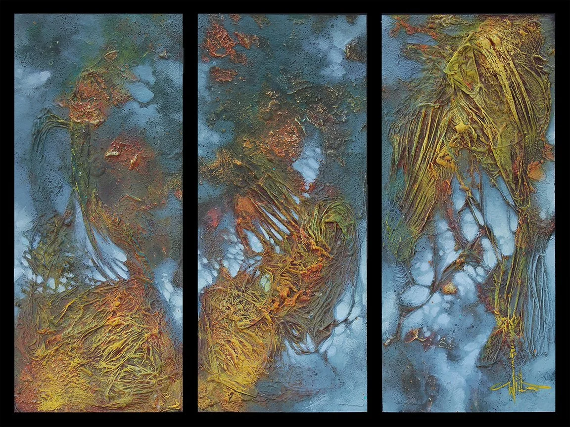 Sympathetic Survey72.jpg