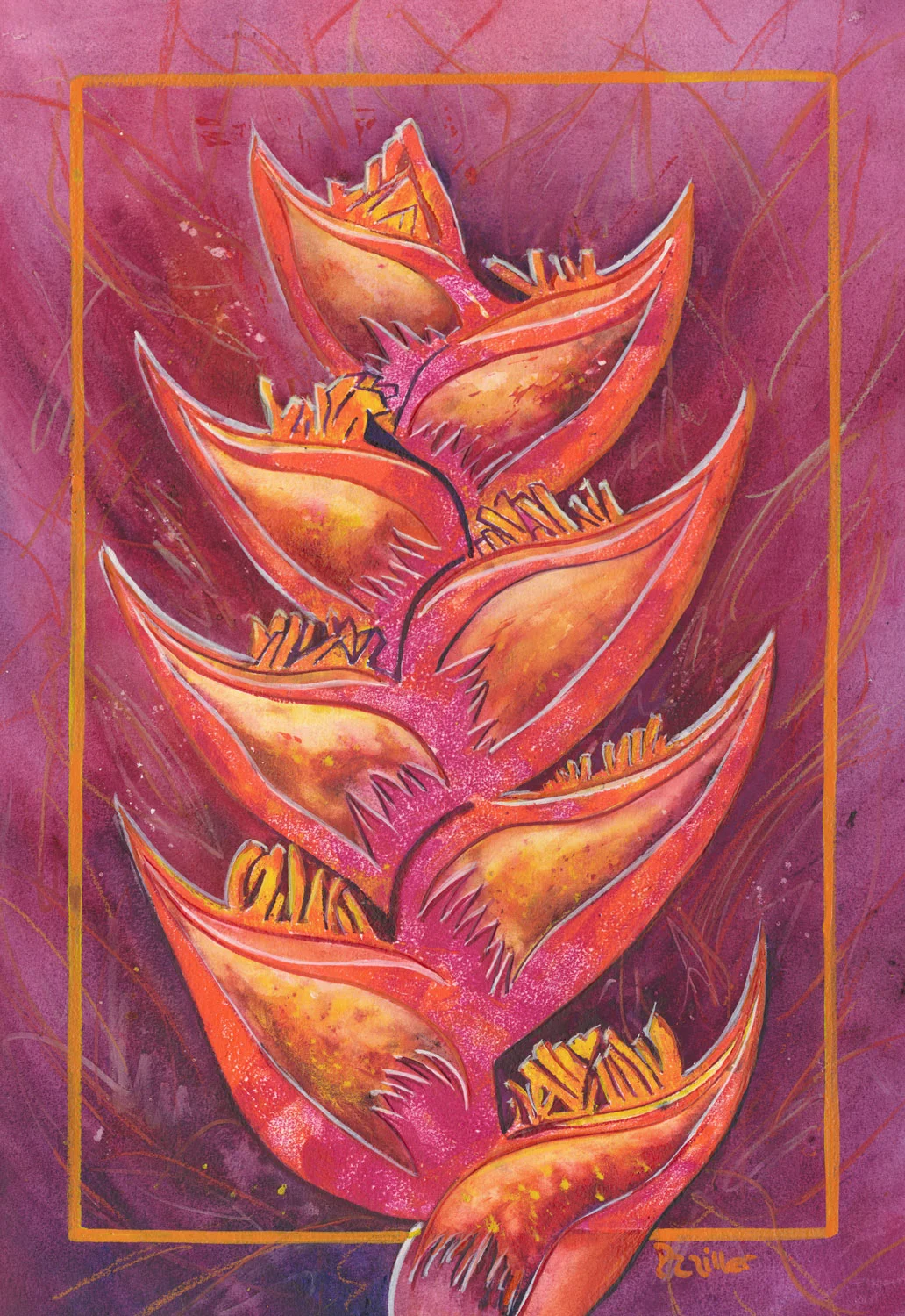 Heliconia Mystique