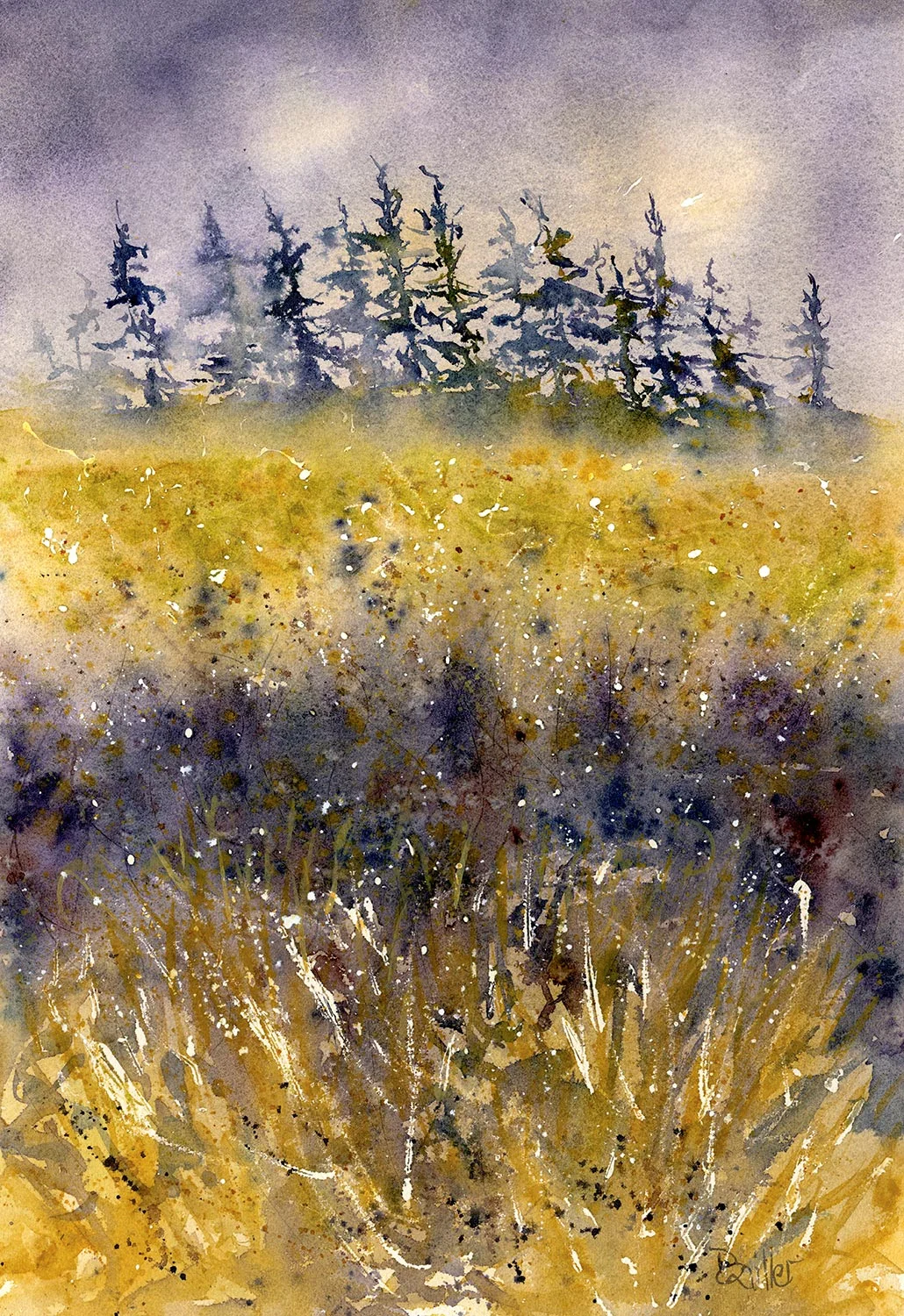 weathered-horizon.jpg