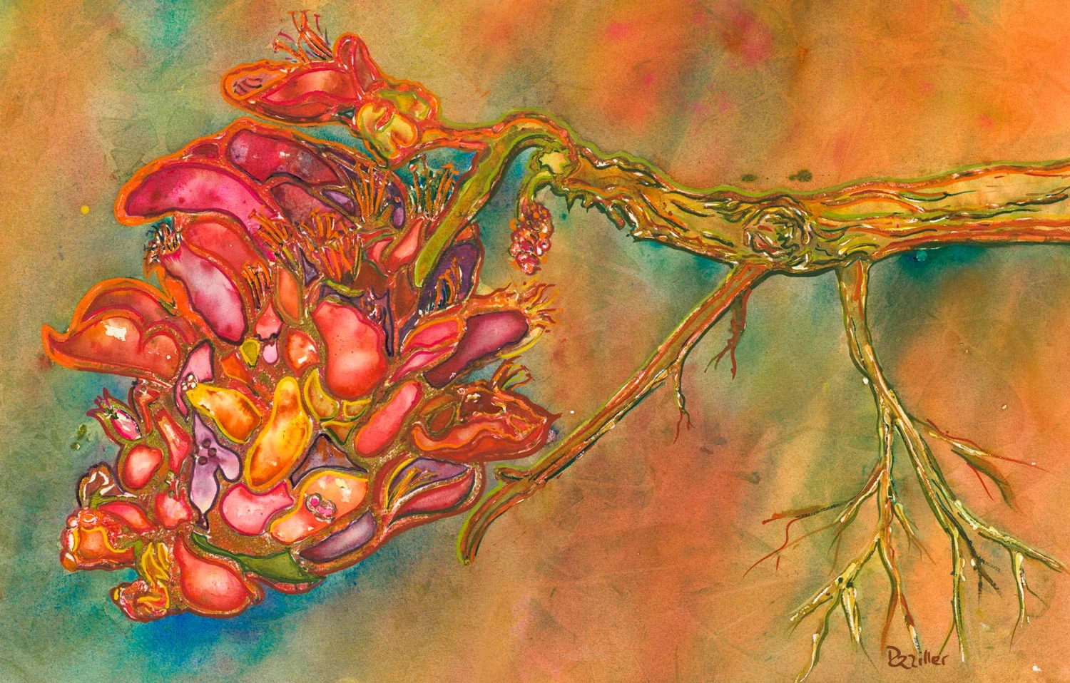 budded-fruit.jpg