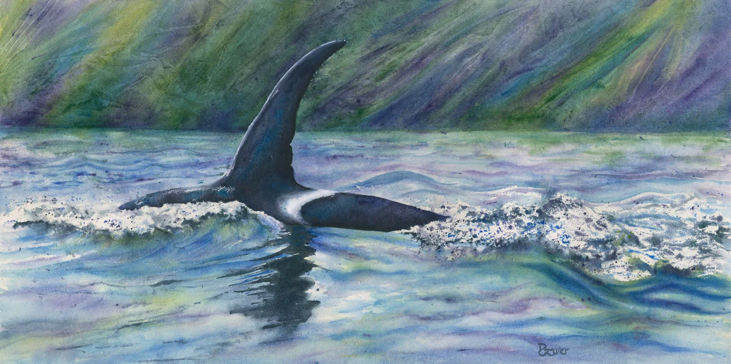 Lone Orca