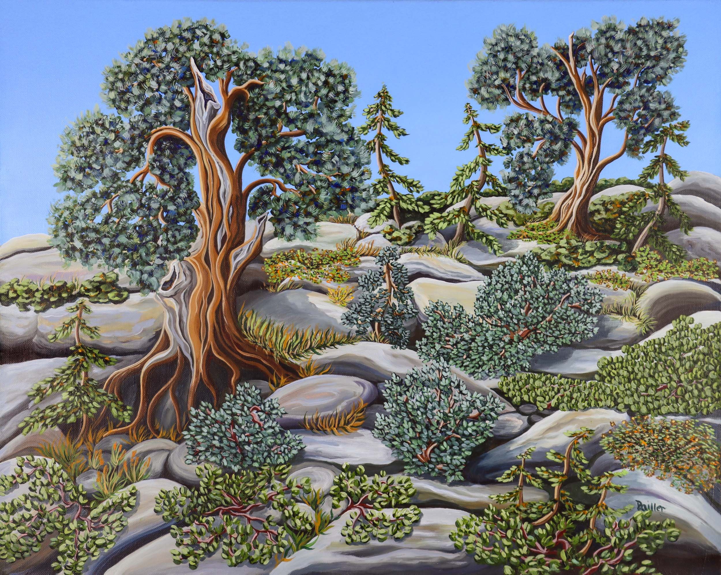 High Sierra Rock Garden —Sold