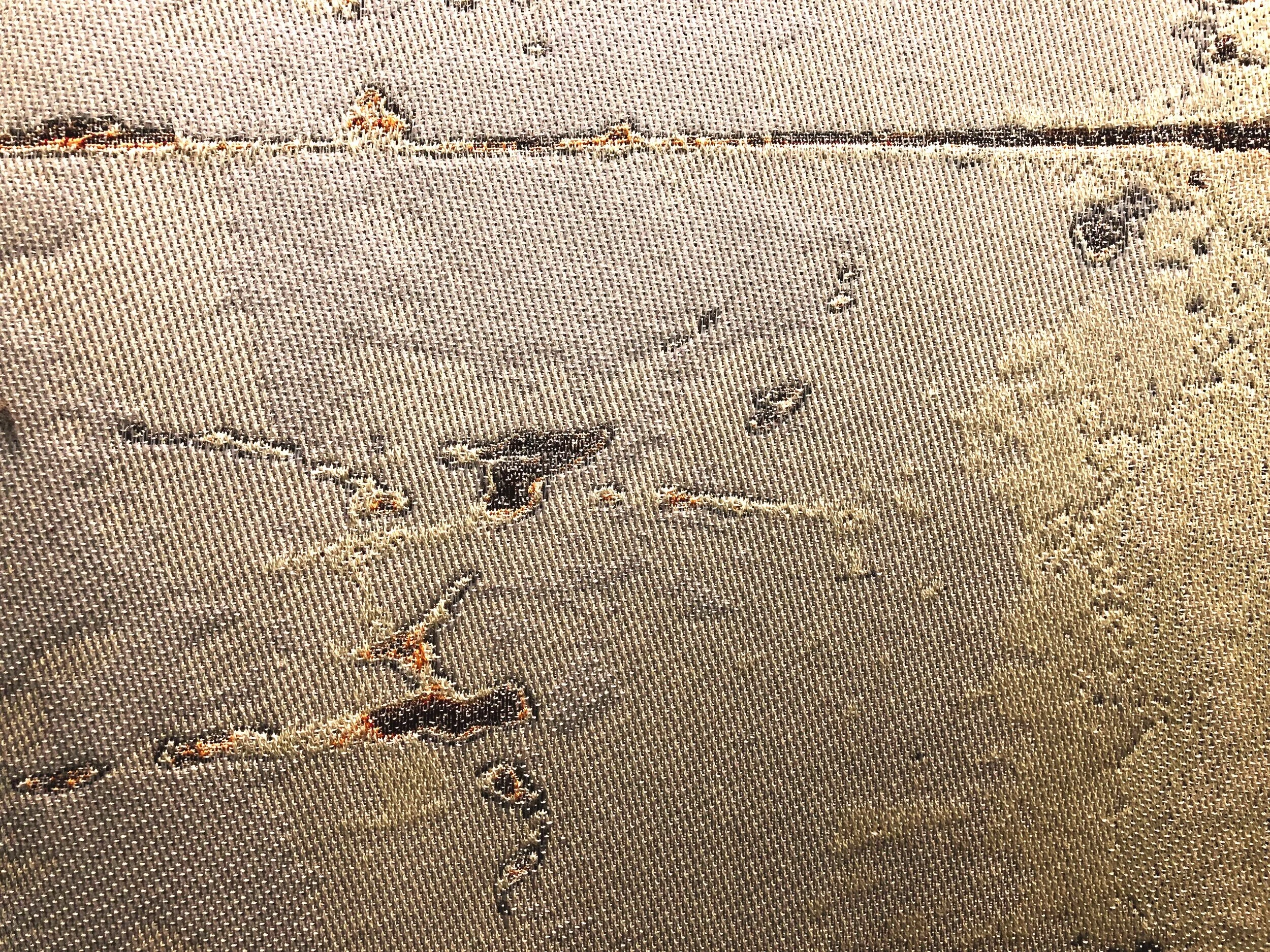 edIMG_3895.jpg
