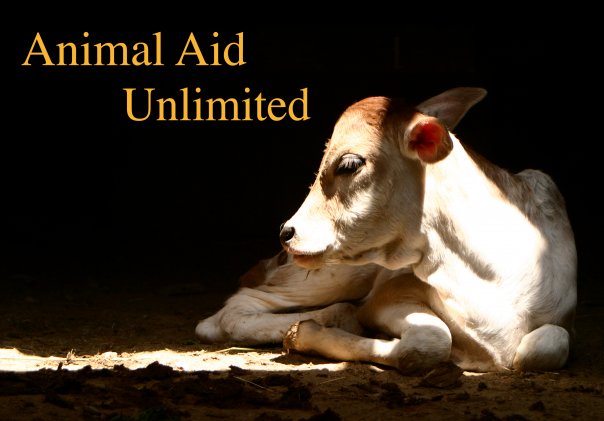 Animal Aid Unlimited