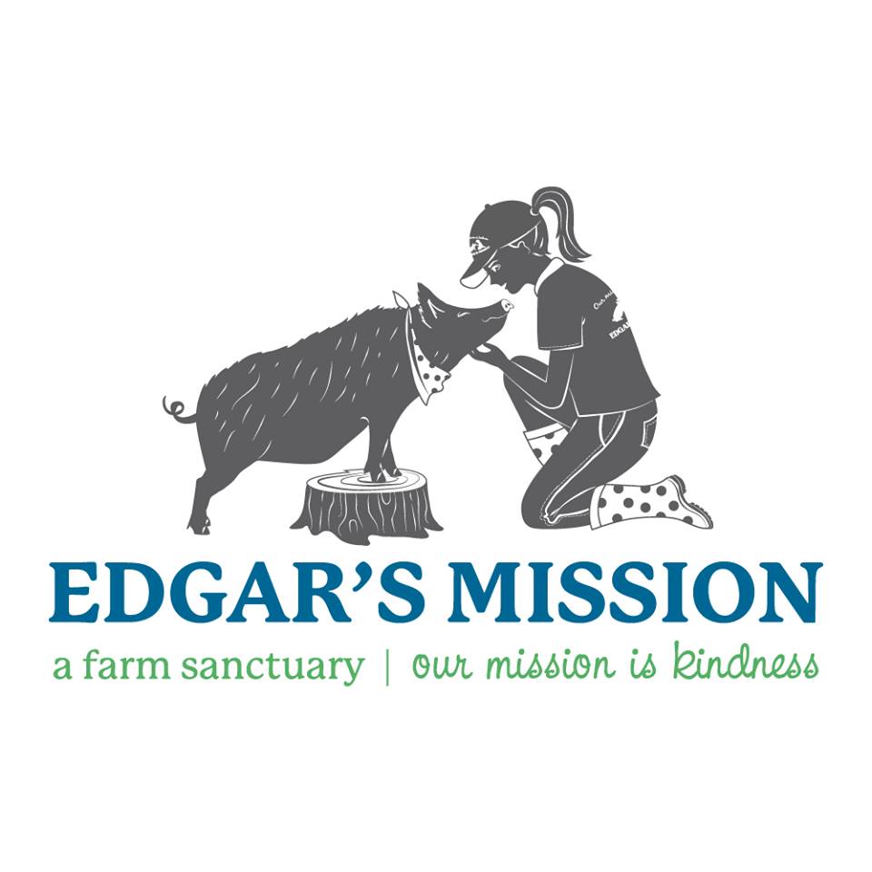 Edgar's Mission