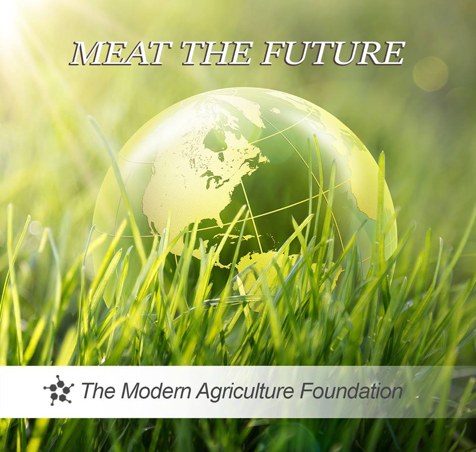 The Modern Agriculture Foundation