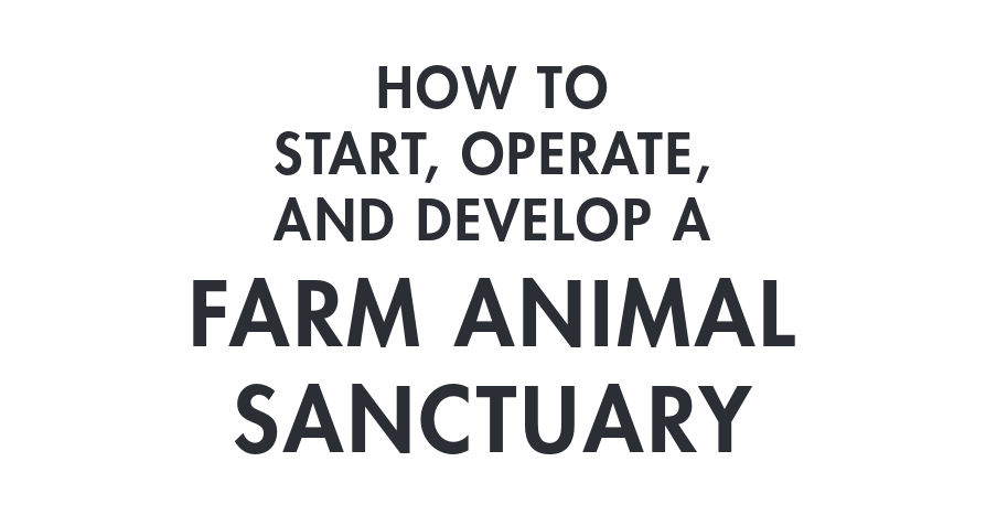 How To Start a Farm Animal Sanctuary