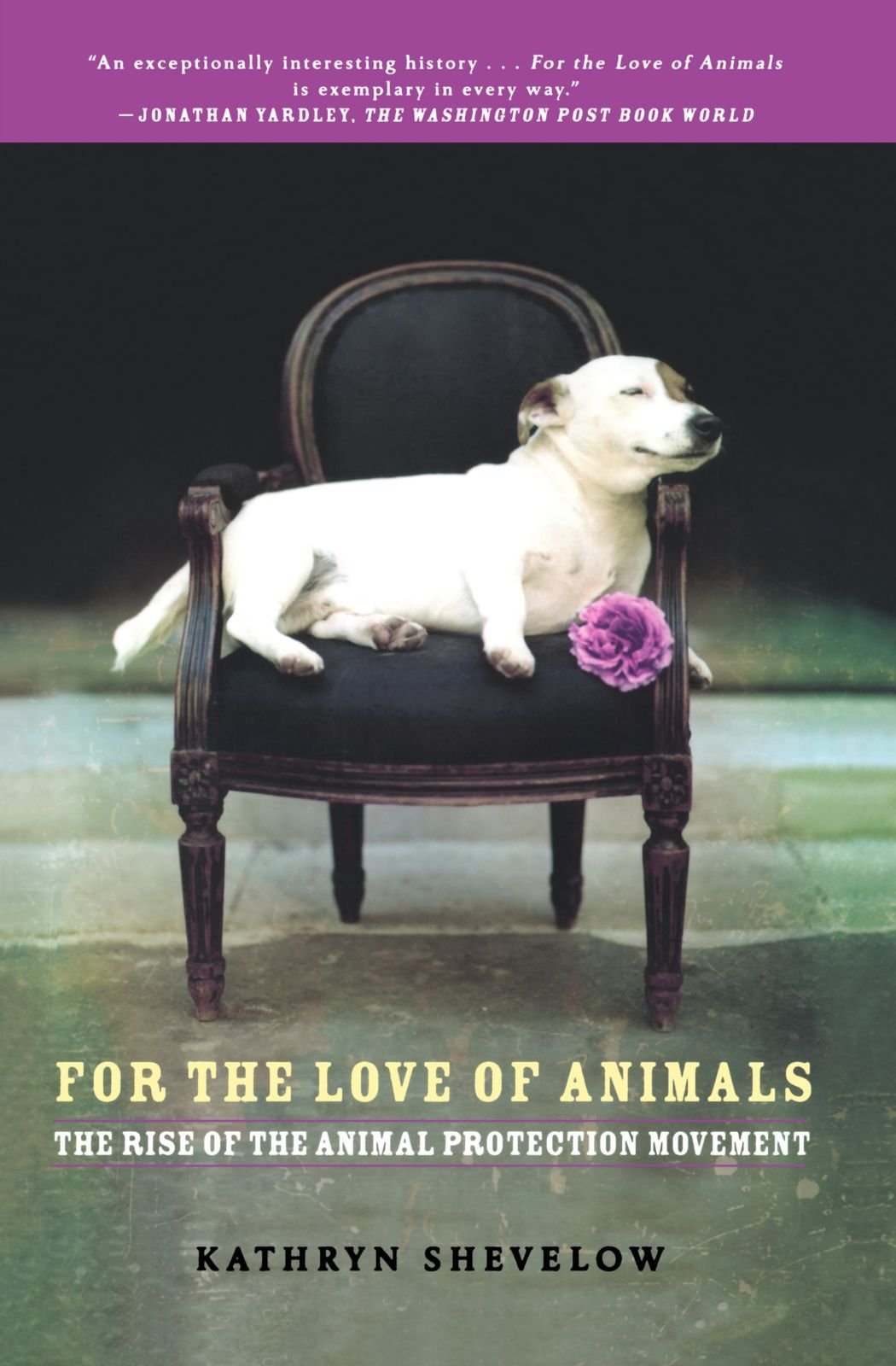 For the Love of Animals: The Rise of the Animal Protection Movement