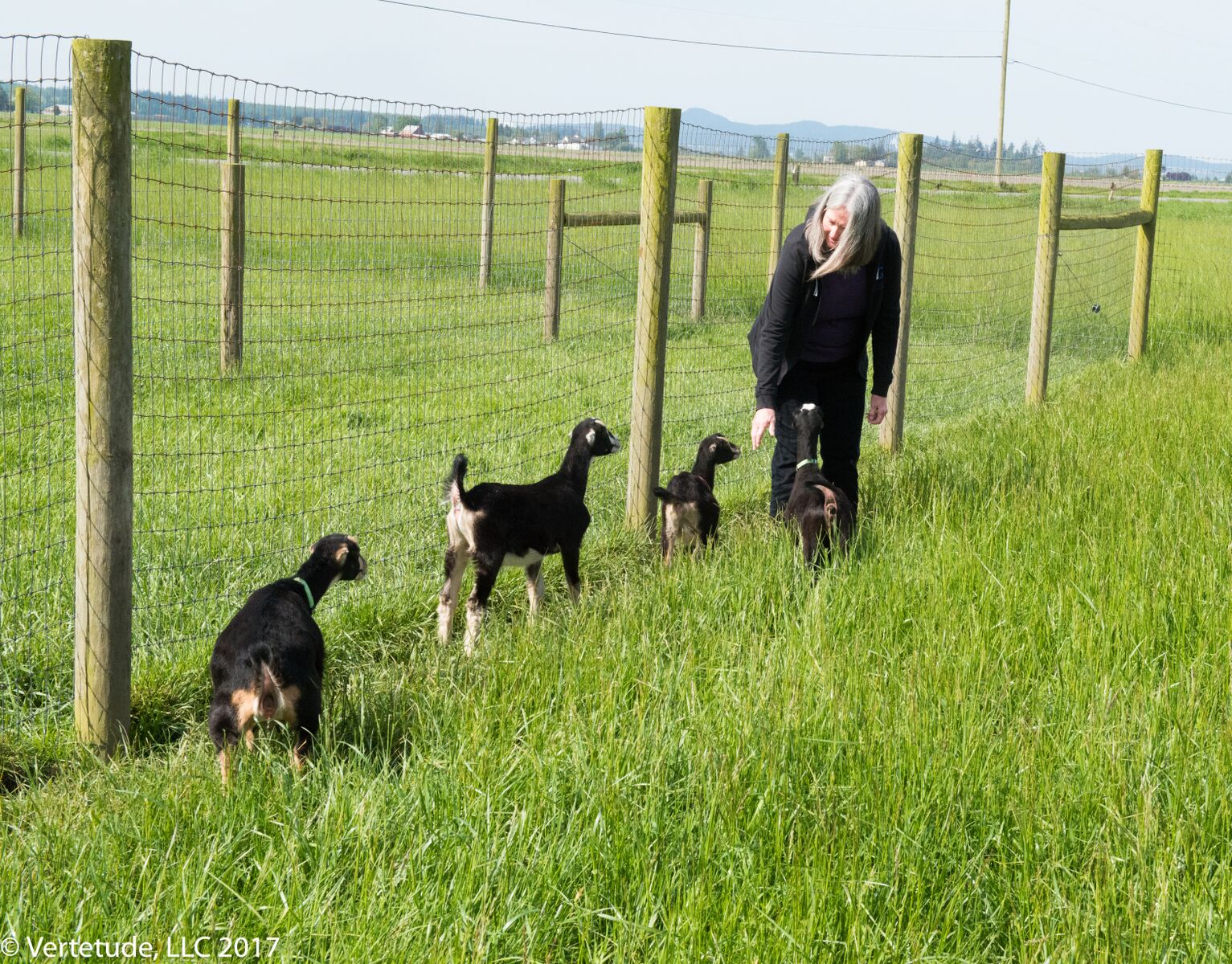 meet Rhonda and her littles at Gothberg Farms