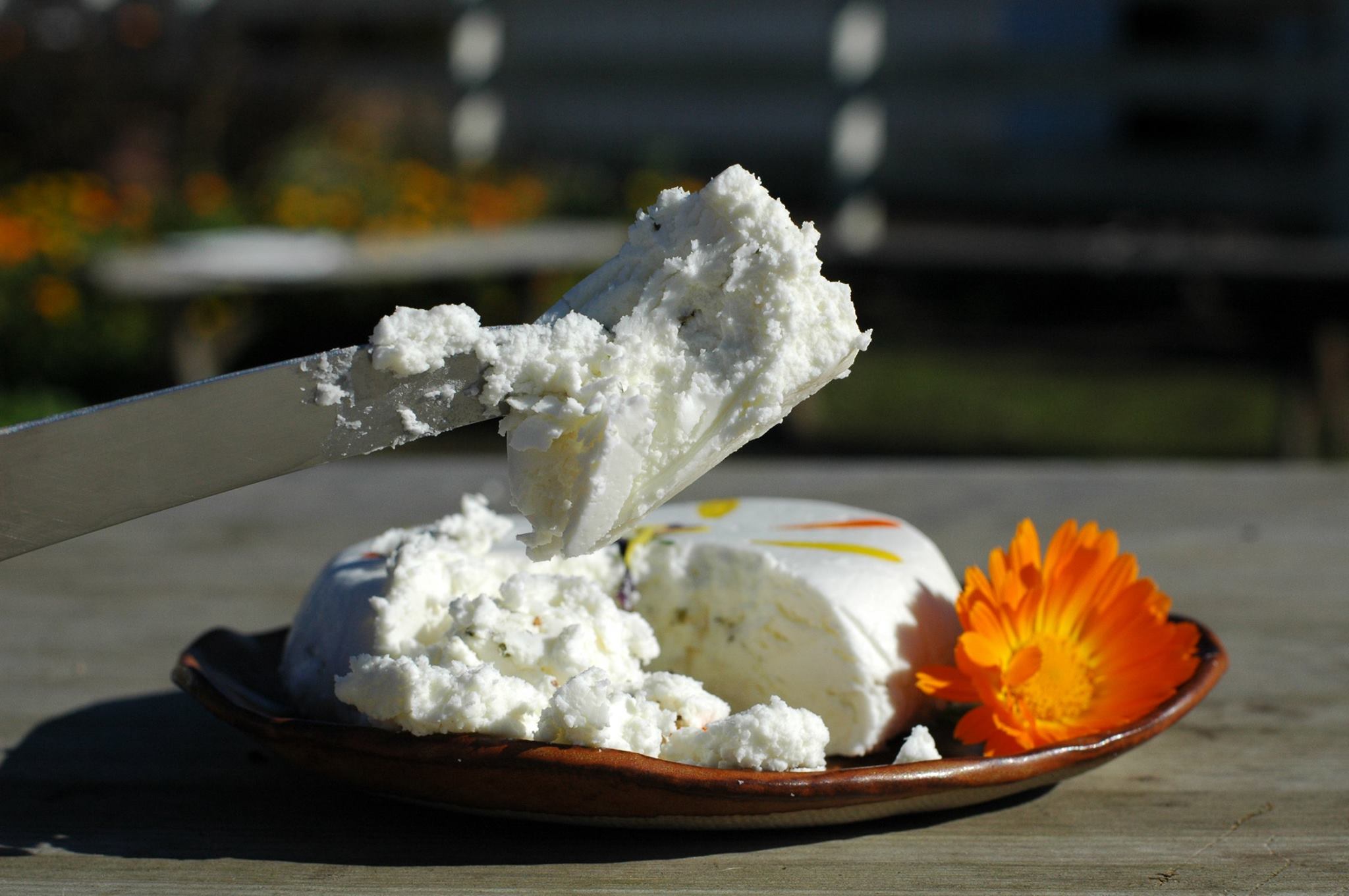 a closer look at Harley's Chevre (you're welcome!)