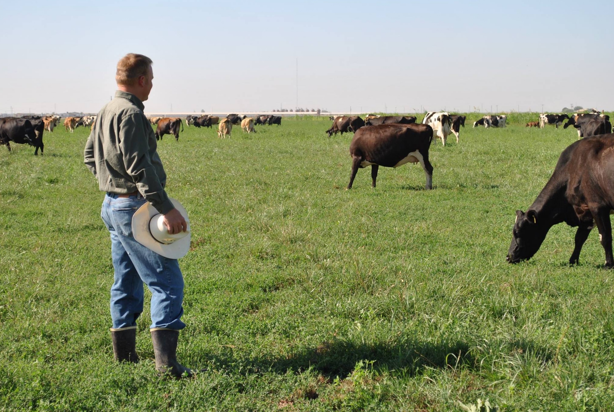 meet Aaron and his girls at Organic Pastures