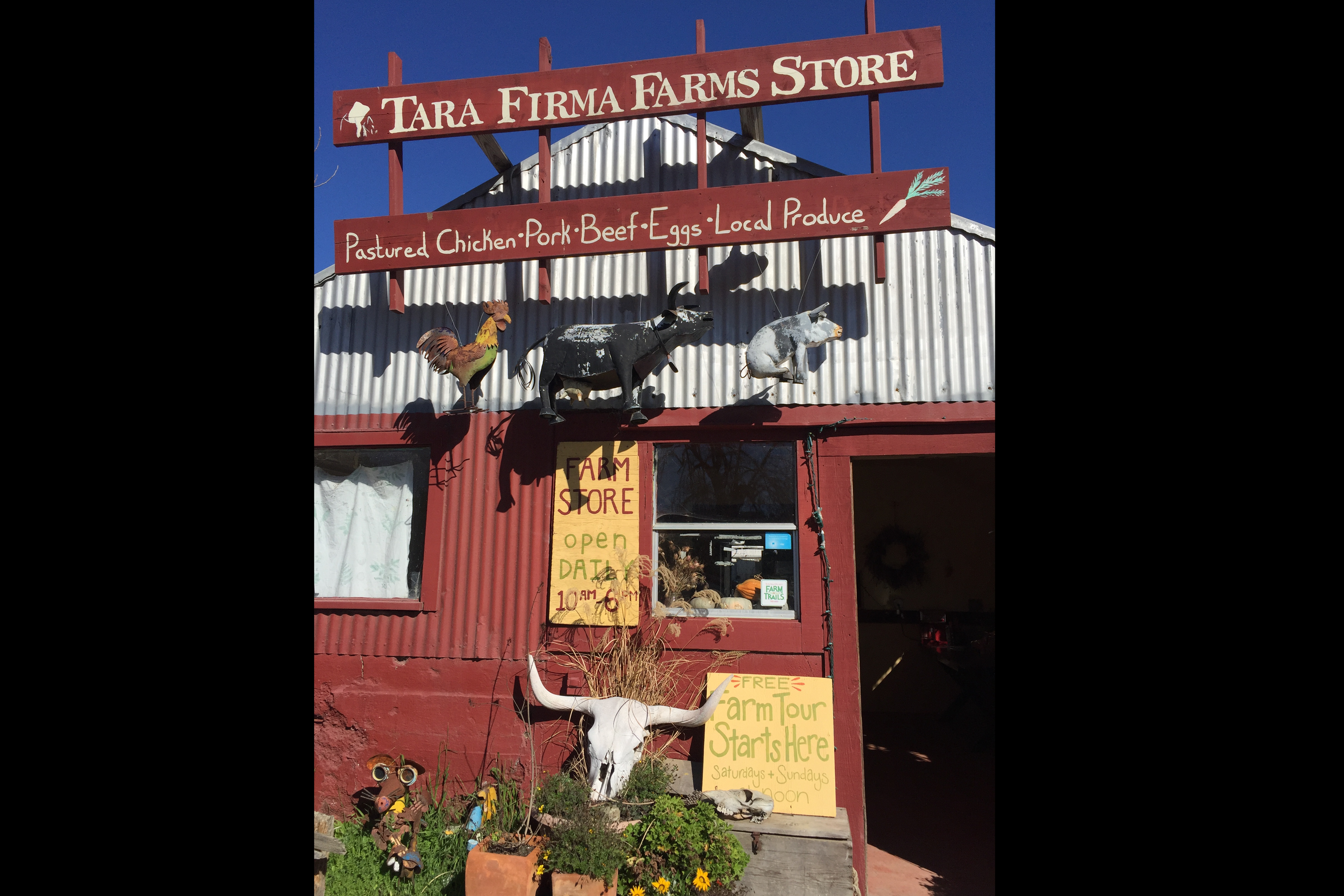 Next stop: Tara Firma Farms