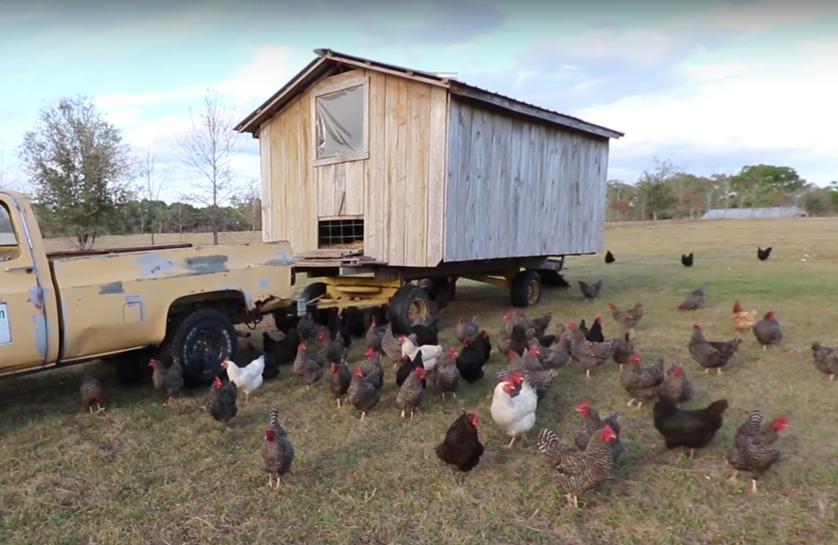Full Circle Farm