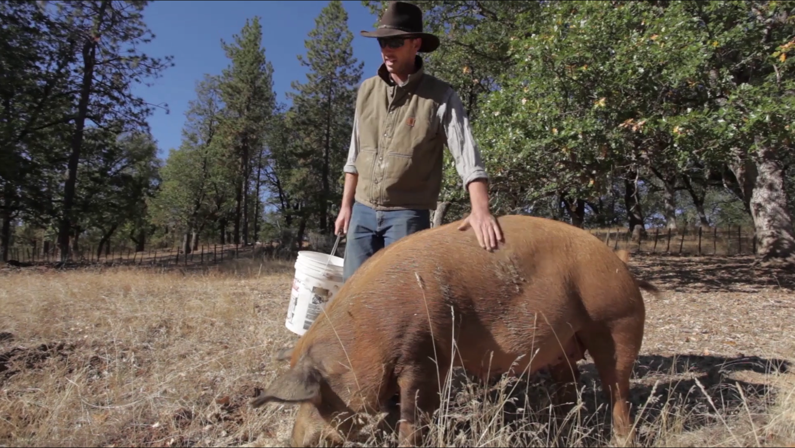 parade farming video.PNG