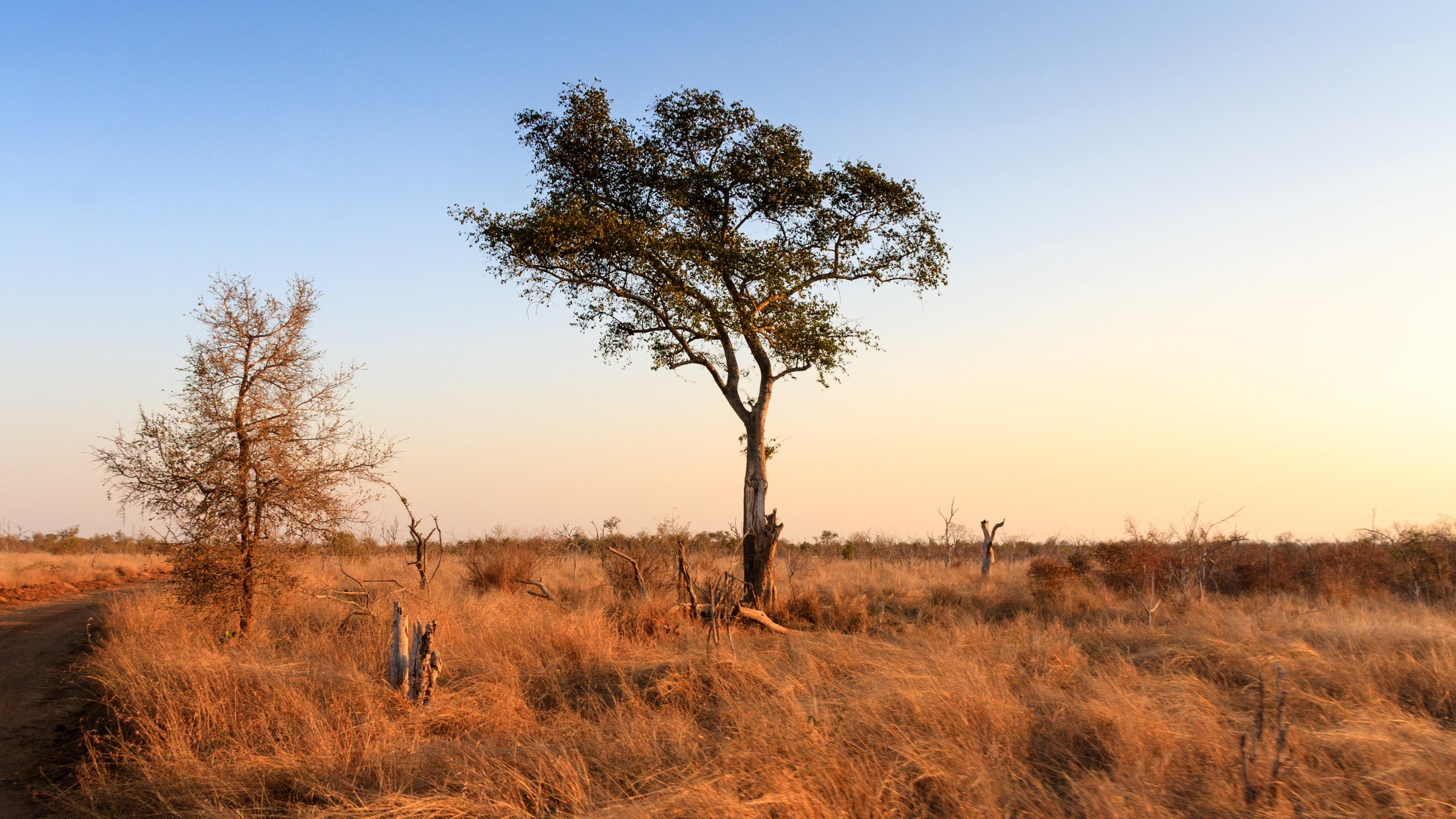 swaziland-2637308.jpg