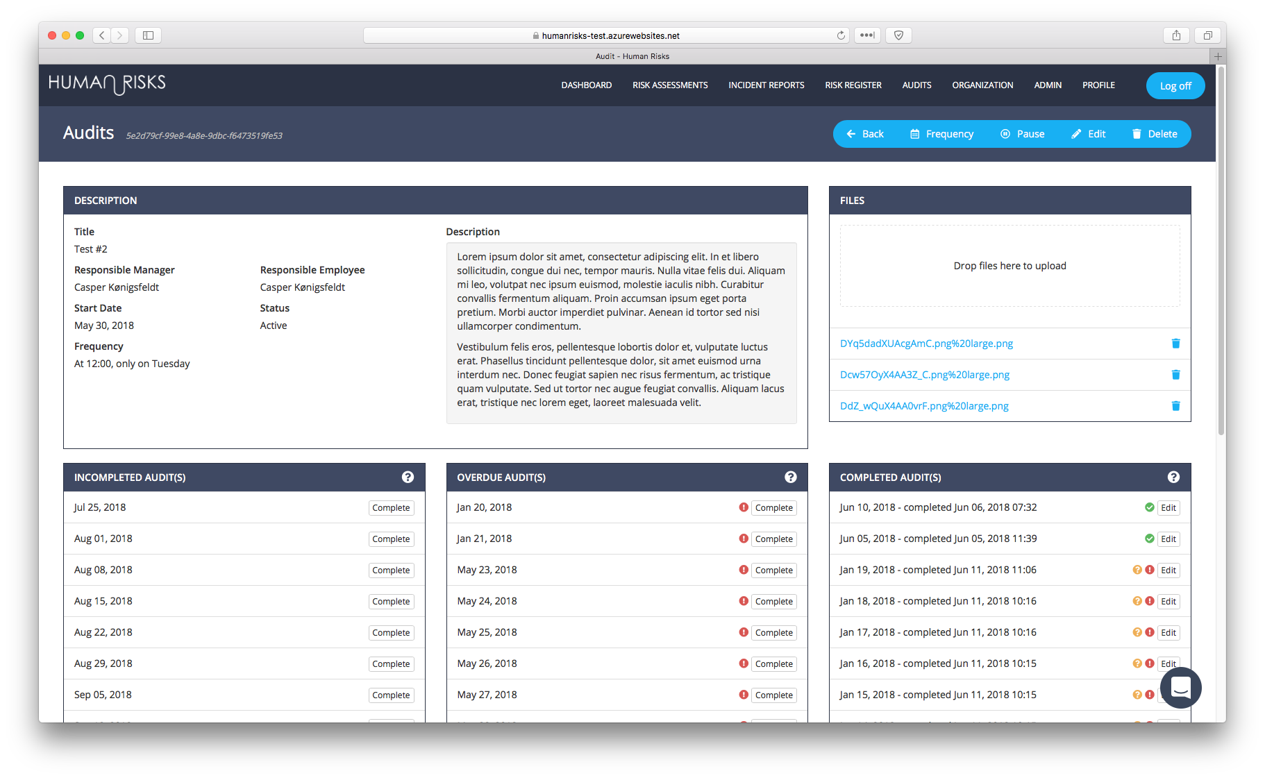 audits-details.png