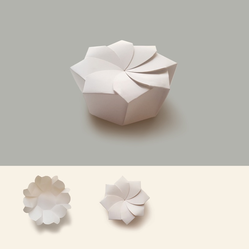 magnolia packaging structure.jpeg