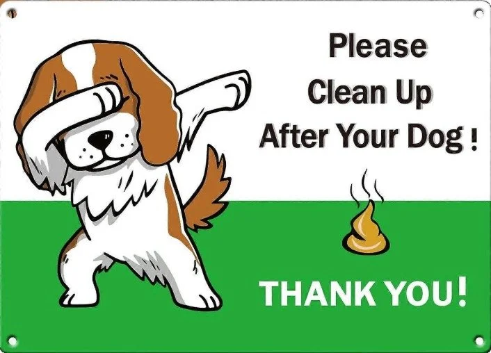 This morning on my walk, I had a moment that got me thinking about accountability - not just in the workplace, but in everyday life.
I was out with my dogs and noticed another dog owner walk away without picking up after their dog. I stopped short o