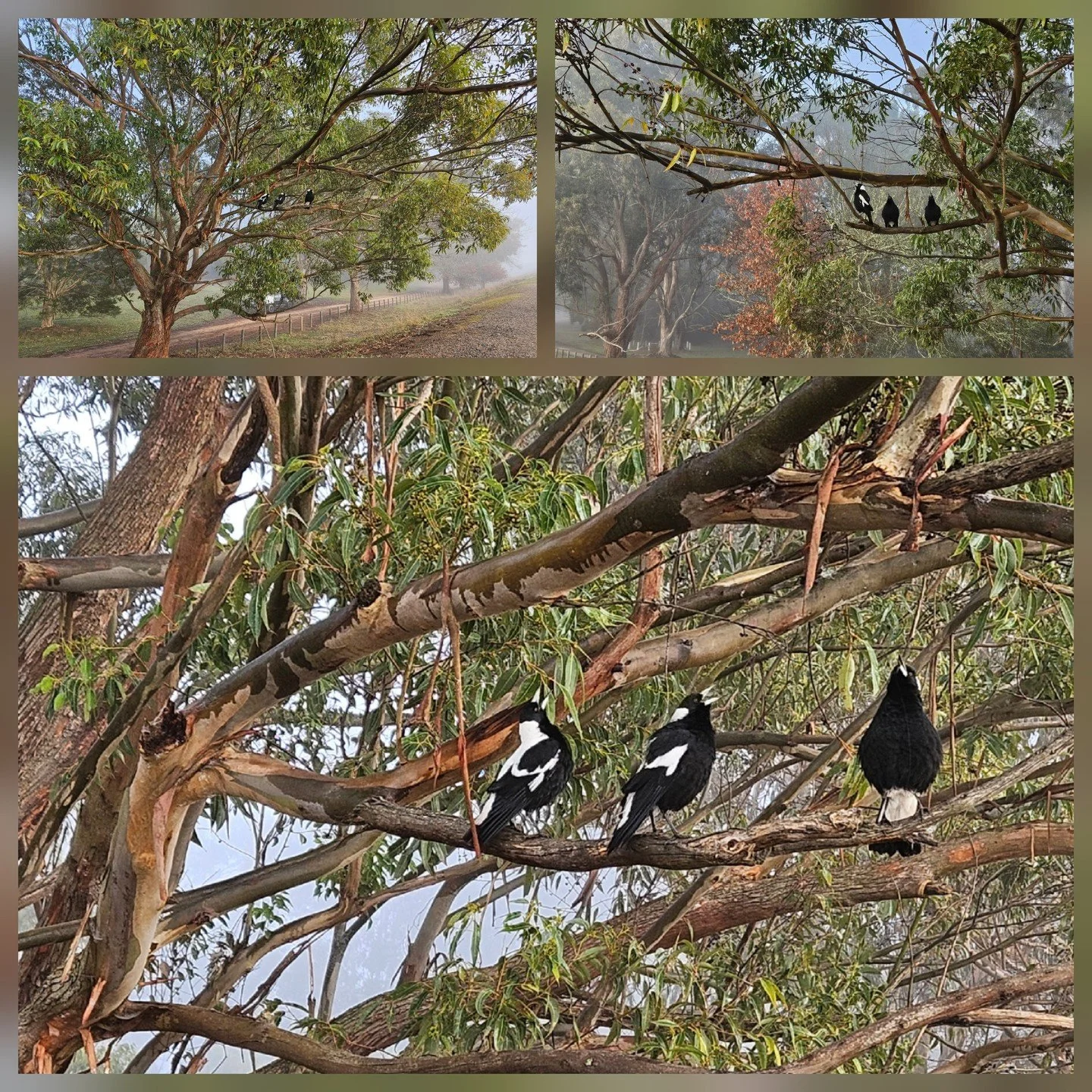 🧠💛 “If you like Piña Coladas…”
That song popped into my head the other day (and got stuck there!!), and while the lyrics are… let’s say, unexpected when you listen closely - it sparked a great reflection.
It