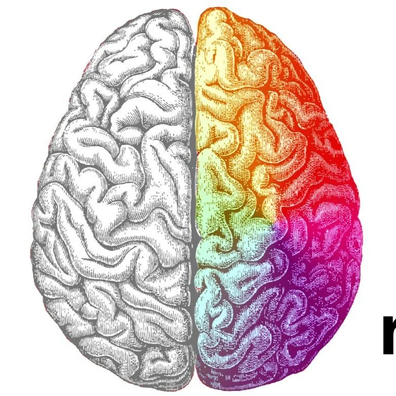 🙋‍♀️ Hands up if you’ve ever been told you’re “left-brained” or “right-brained” like you secretly moonlight as a spreadsheet 📅 or a paintbrush 🎨 ? 
🧠 For years, I worried I wasn’t creative enough or