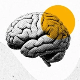 ✨ Have you ever wished you could better understand how your brain works – and use that knowledge to improve your leadership, focus, resilience, and wellbeing?
That’s exactly what The Mind Unlocked: A Neuroscience Series is designed to he