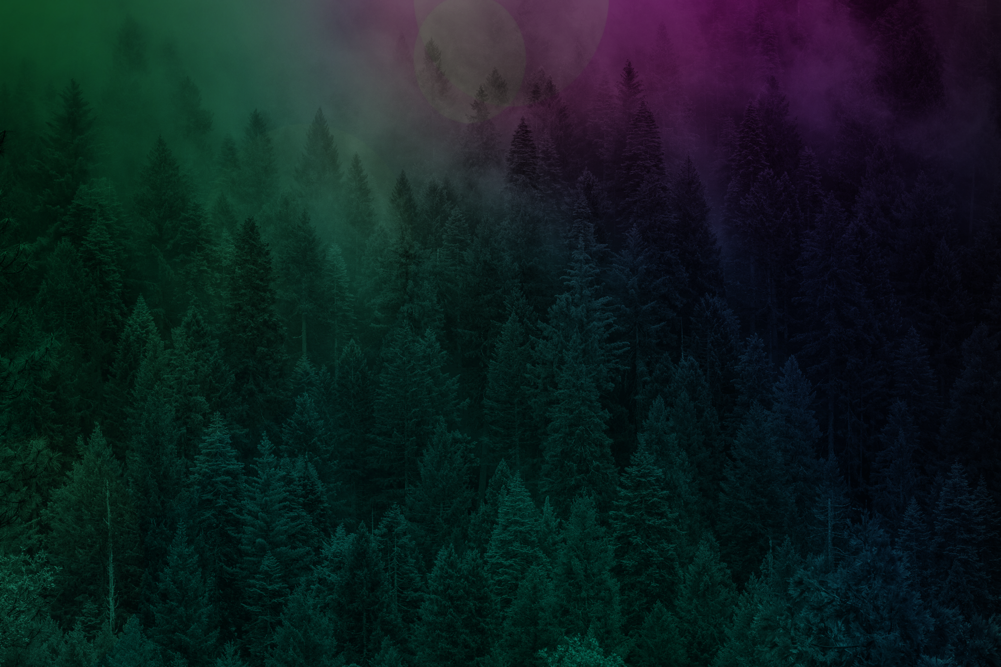 Trailblazery-Background-2D.png